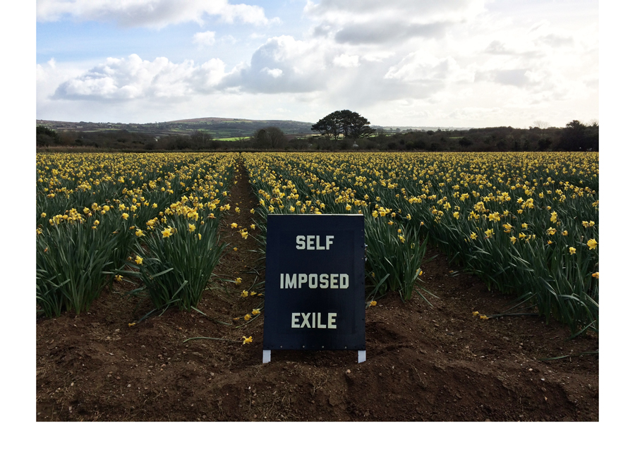 Black and white text A frame sign in daffodil field Cornwall surfing artwork brexit